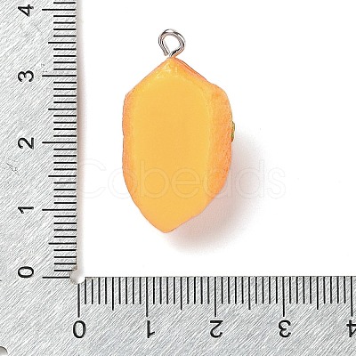 Resin Imitation Food Pendants FIND-U001-02H-1