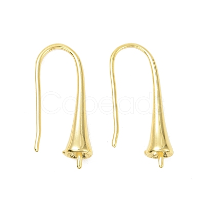 Rack Plating Brass Earring Hooks KK-F839-030A-G-1