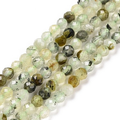 Natural Prehnite Beads Strands G-C009-A20-1