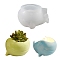 Whale Shape Silicone Storage Molds, Mini Flower Pot Resin Casting Molds, White, 137.5x112x78mm