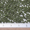 MIYUKI Round Rocailles Beads X-SEED-G007-RR2318-3