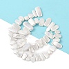 Electroplated Shell Pearl Beads Strands BSHE-C007-B01-01-3