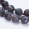 Natural Larvikite Beaded Necklaces NJEW-P202-36-B19-2