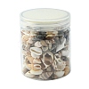 12 Styles Natural Mixed Shell Beads SSHEL-YW0001-05-6