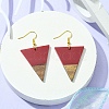 Resin & Walnut Wood Triangle Dangle Earrings EJEW-JE05505-04-3