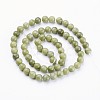 Natural Gemstone Beads GSR6mmC032-3