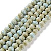 Natural Rainbow Alashan Agate Beads Strands G-NH0022-A-01-2