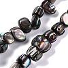 Natural Freshwater Shell Beads Strands BSHE-S304-06-1