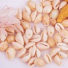 Natural Cowrie Shell Beads BSHE-PH0001-06-3