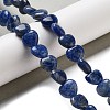 Natural Sodalite Beads Strands G-R190-10mm-37-2