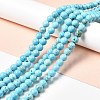 Dyed & Heated Natural Magnesite Beads Strands G-G924-01B-02-2