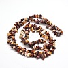 Natural Mookaite Chip Bead Strands G-M205-39-2