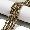 Natural Unakite Beads Strands G-H042-B25-01-2