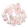 Natural Rose Quartz Beads Strands G-F769-X01-02-3