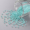 11/0 Grade A Transparent Glass Seed Beads X-SEED-N001-F-257-1