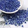 Glass Seed Beads SEED-K009-08A-09-1