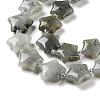 Natural Labradorite Beads Strands G-NH0005-020-4