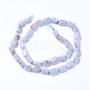 Natural Blue Lace Agate Beads Strands G-F568-173-2