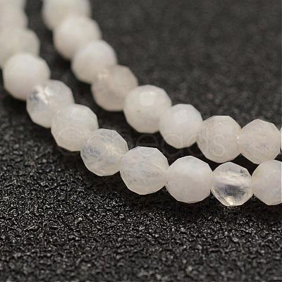 Natural Rainbow Moonstone Beads Strands G-F460-44-1