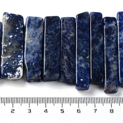 Natural Sodalite Beads Strands G-L551B-16-1