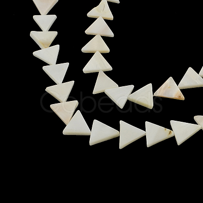 Triangle Natural Sea Shell Beads Strands SSHEL-F290-11-1