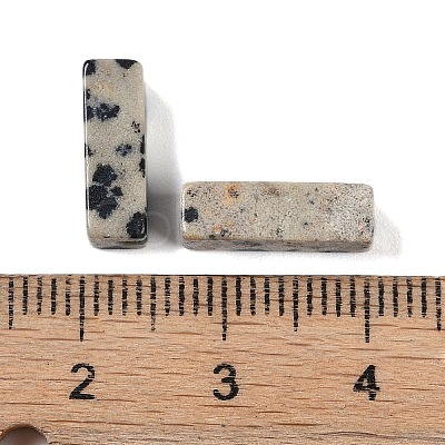 Natural Dalmatian Jasper Beads G-G137-01N-1