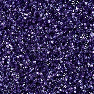 MIYUKI Delica Beads X-SEED-J020-DB1881-1