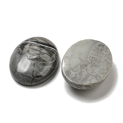 Natural Picasso Jasper Cabochons G-C115-01B-37-1