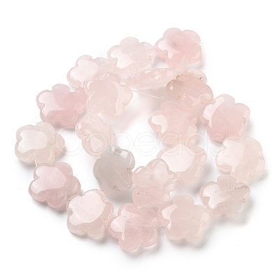 Natural Rose Quartz Beads Strands G-F769-X01-02-1