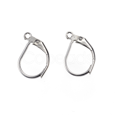 Tarnish Resistant 304 Stainless Steel Leverback Earring Findings STAS-E147-20P-1