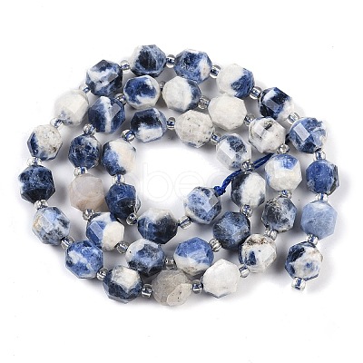 Natural Sodalite Beads Strands G-O201B-112F-1