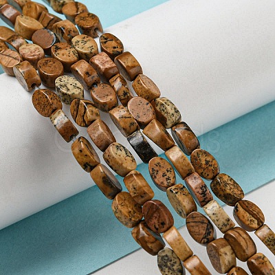 Natural Picture Jasper Beads Strands G-M420-H10-03-1