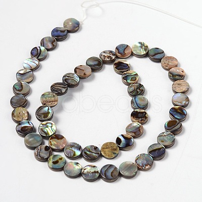 Natural Abalone Shell/Paua Shell Beads Strands SHS014-01-1