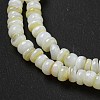 Dyed Natural Freshwater Shell Beads Strands BSHE-G039-07N-3