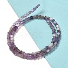 Natural Amethyst Beads Strands G-G085-B01-01-2