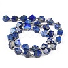 Natural Lapis Lazuli Beads Strands G-Z014-17-3