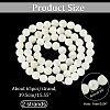 Natural Trochid Shell/Trochus Shell Beads Strands SHEL-WH0001-008-3