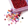 6408Pcs 24 Style 8/0 Glass Seed Beads SEED-FS0001-13-3