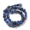 Natural Sodalite Beads Strands G-R190-10mm-37-3