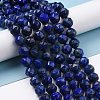 Natural Lapis Lazuli Beads Strands G-K323-21-2