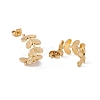 Ion Plating(IP) 304 Stainless Steel Olive Leaf Wrap Stud Earrings EJEW-G314-04G-2