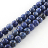 Dyed Natural Sesame Jasper Round Beads Strands X-G-R342-8mm-12-1