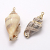 Golden Electroplated Conch Shell Pendants BSHE-M016-02-2