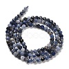 Natural Sodalite Beads Strands G-B107-A03-05-3