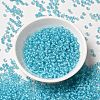 8/0 Transparent Glass Seed Beads SEED-F003-03B-10-2