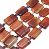 Natural Red Agate Beads Strands G-I245-47C-1
