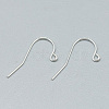 925 Sterling Silver Earring Hooks STER-T002-173S-2