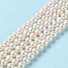 Natural Pearl Beads Strands PEAR-E018-73-2