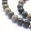 Natural Ocean Agate/Ocean Jasper Beads Strands G-G716-03-6mm-5