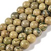 Natural Verdite Stone Beads Strands G-P530-B07-04-1
